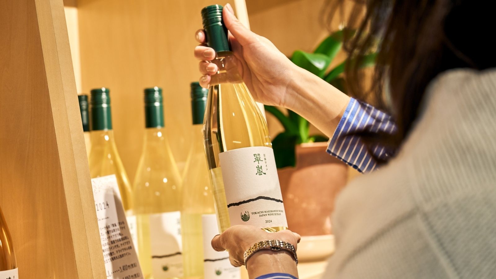 森のワイン ショップ