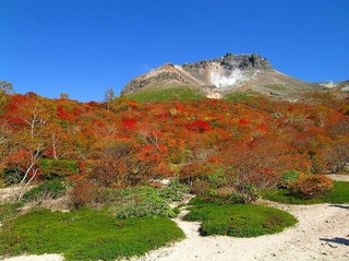 茶臼岳の紅葉２