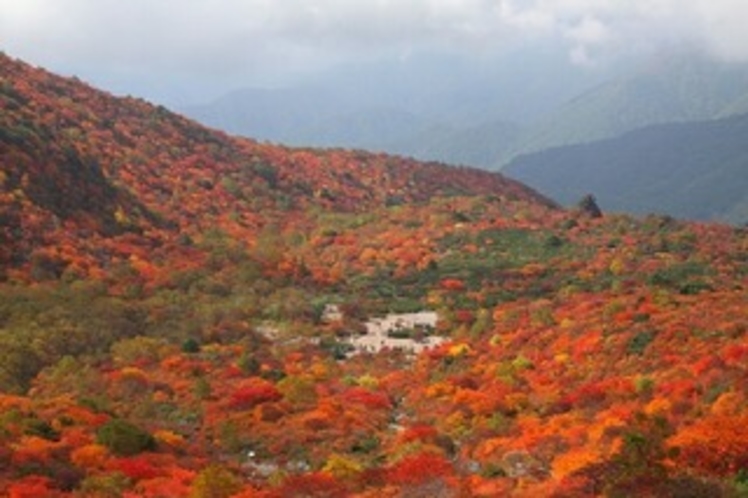 茶臼岳の紅葉１