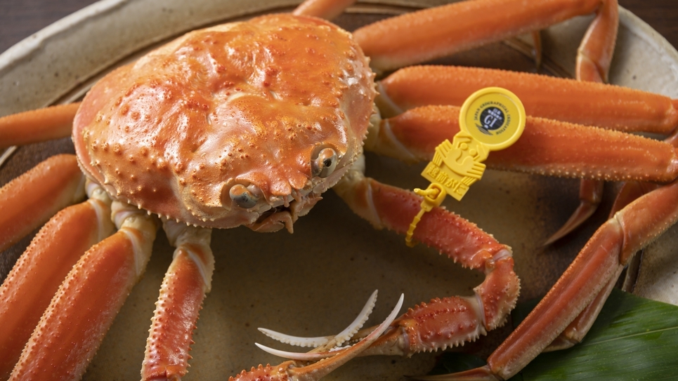 【越前蟹フルコース】ゆで蟹ひとり１杯付〇蟹刺し・焼しゃぶ・せいこ蟹釜飯ほか蟹尽くしの特選コース