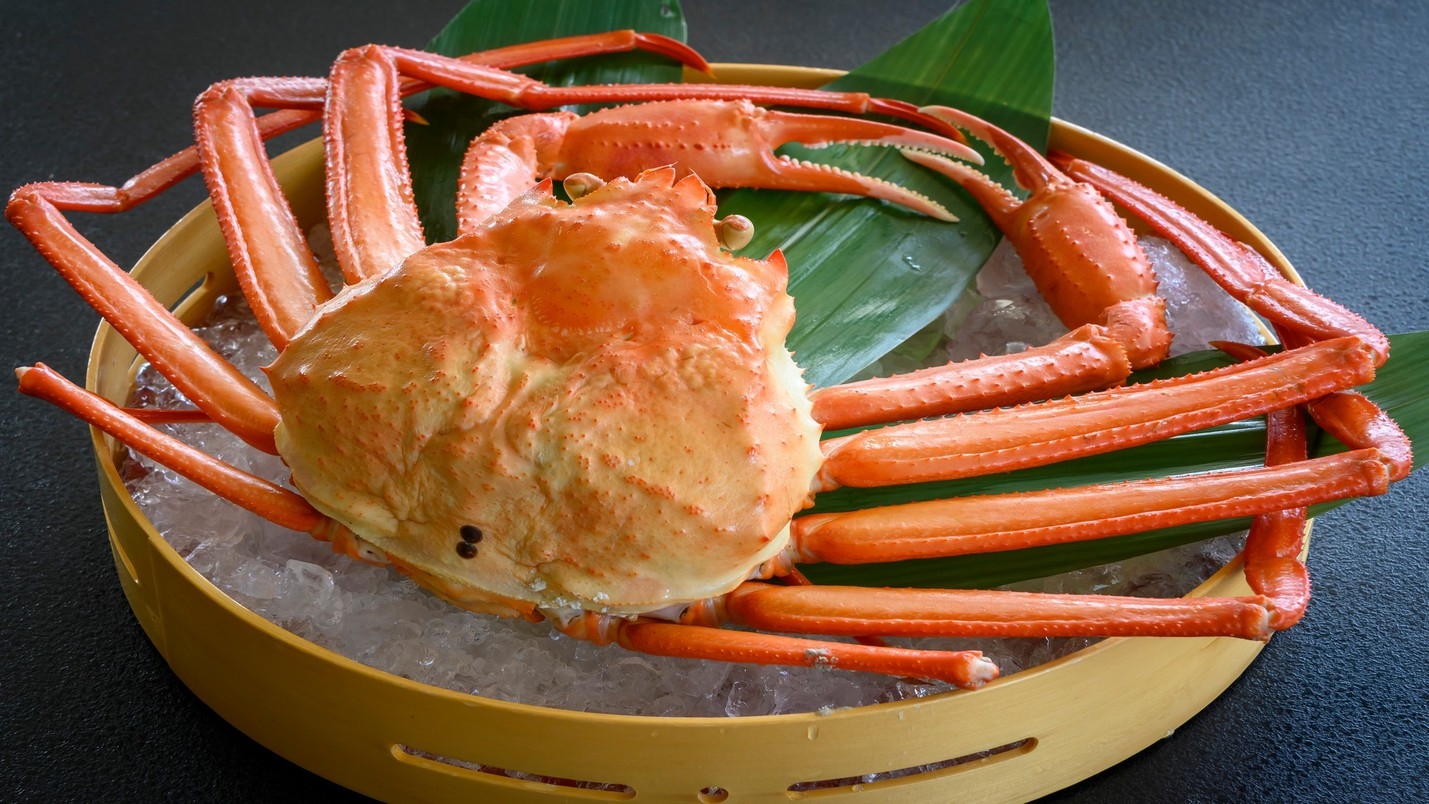 【越前蟹×紅ずわい蟹の食べ比べ】越前蟹二人で１杯〇紅ズワイ蟹一人１杯！2・4名様限定＜2026〜＞