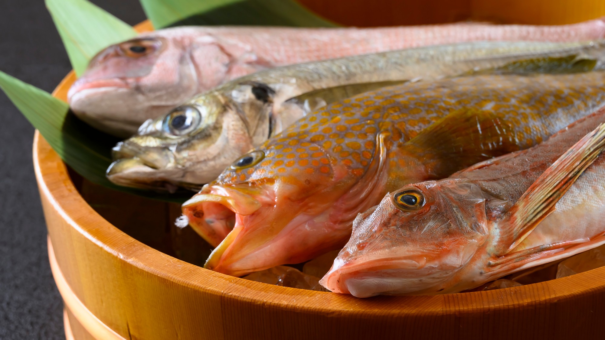 日本海の新鮮な魚を料理長が厳選しています。