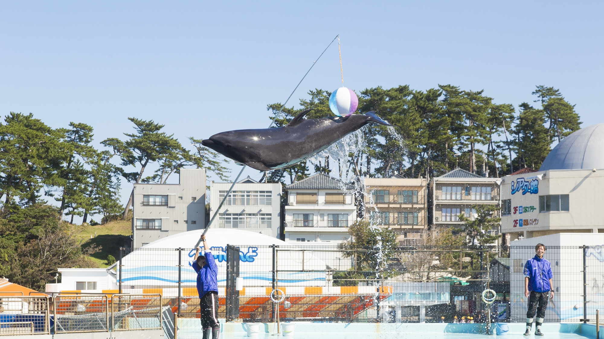 越前松島水族館まではお車で約30分