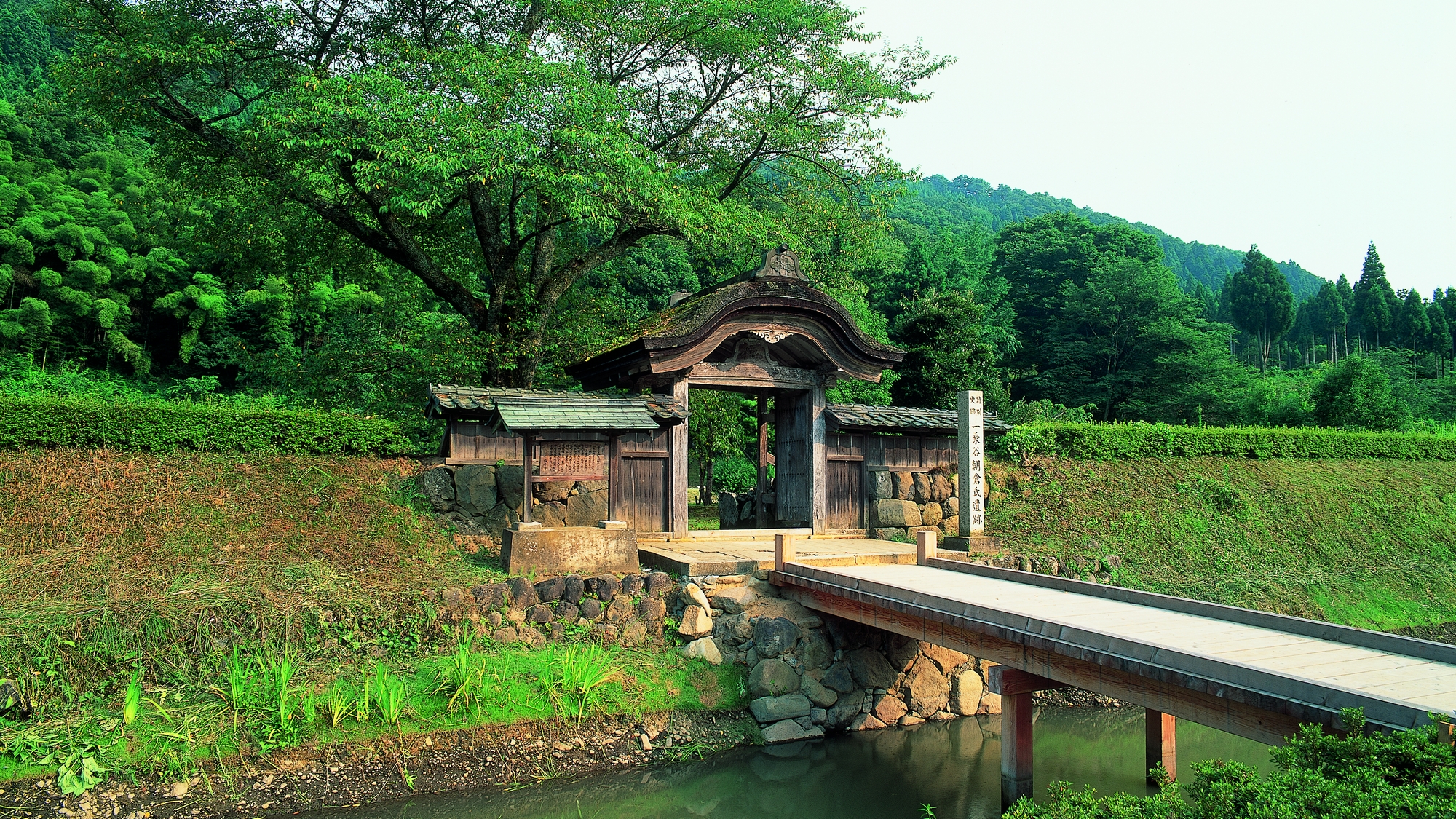 一乗谷朝倉氏遺跡は国の重要文化財・特別史跡・特別名勝に指定されています。