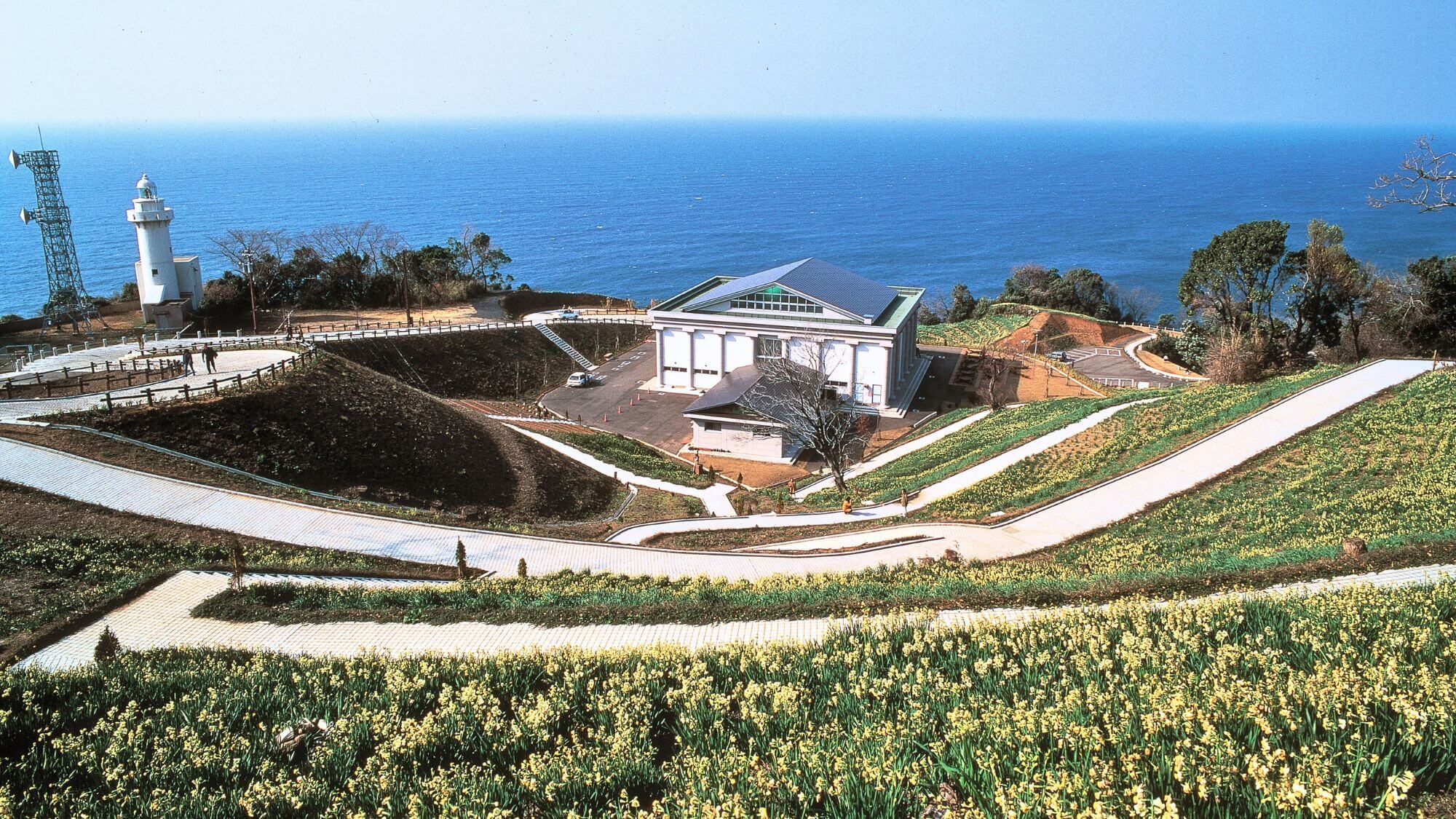 【越前岬水仙ランド】当館からお車で約30分。白亜の灯台を背に越前水仙と雄大な日本海を一望できます！