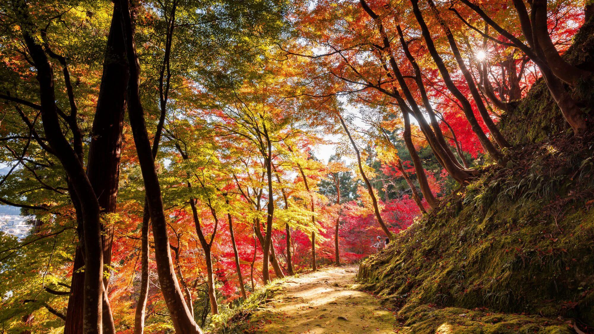 【花筐公園】当館からお車で約1時間。四季折々の自然と歴史散策をお楽しみください♪