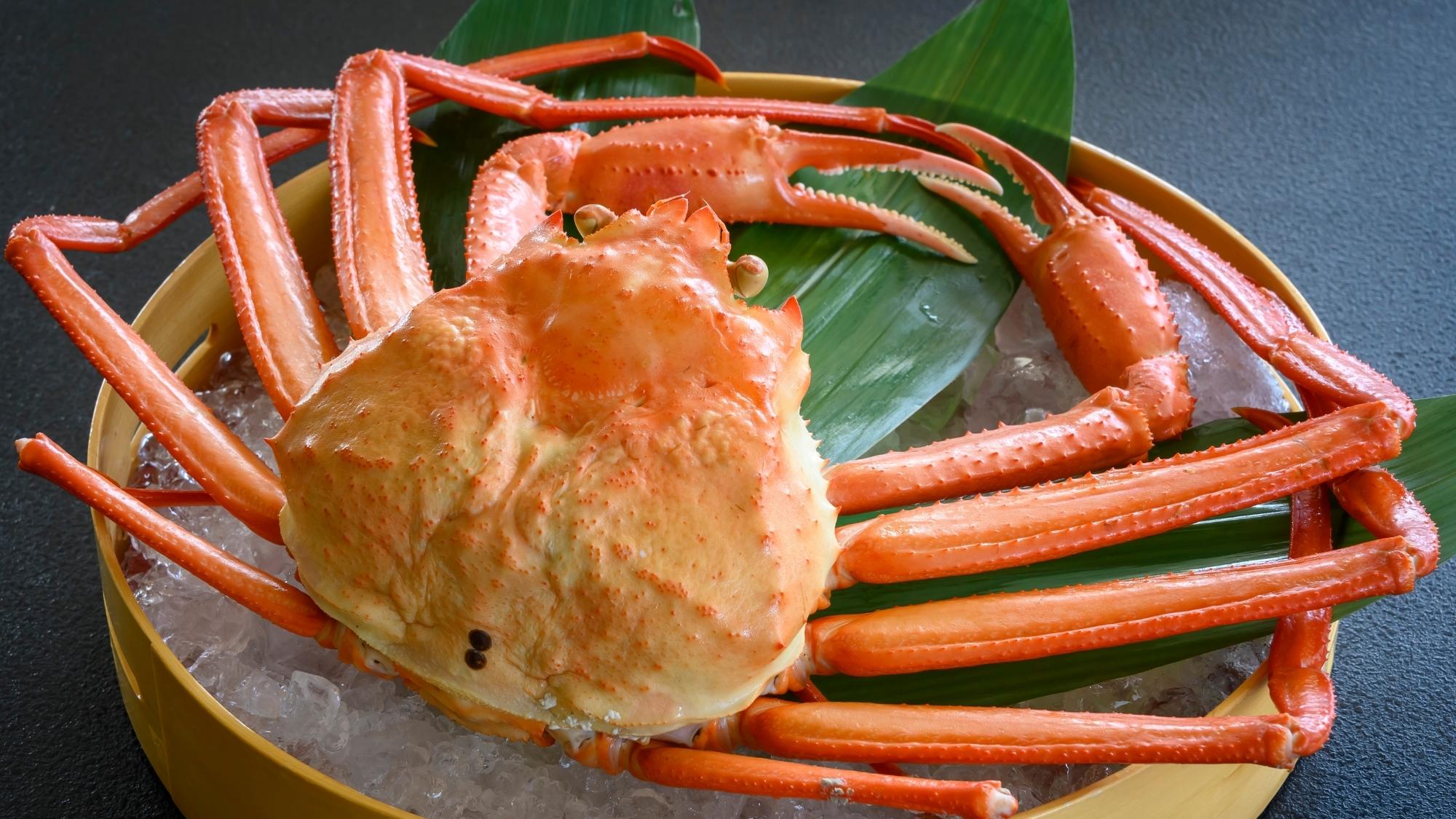 身はジューシーでほんのりとした甘みが楽しめる紅ズワイ蟹