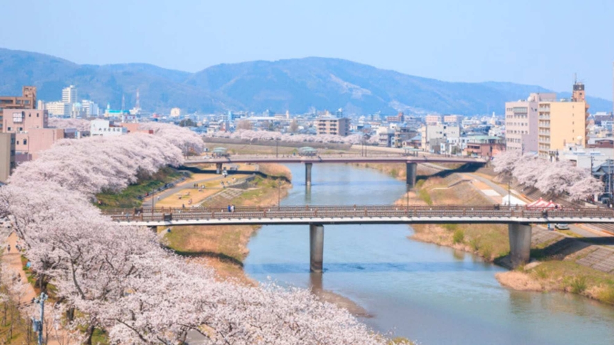 『日本さくら名所100選』にも選ばれた足羽川の桜並木