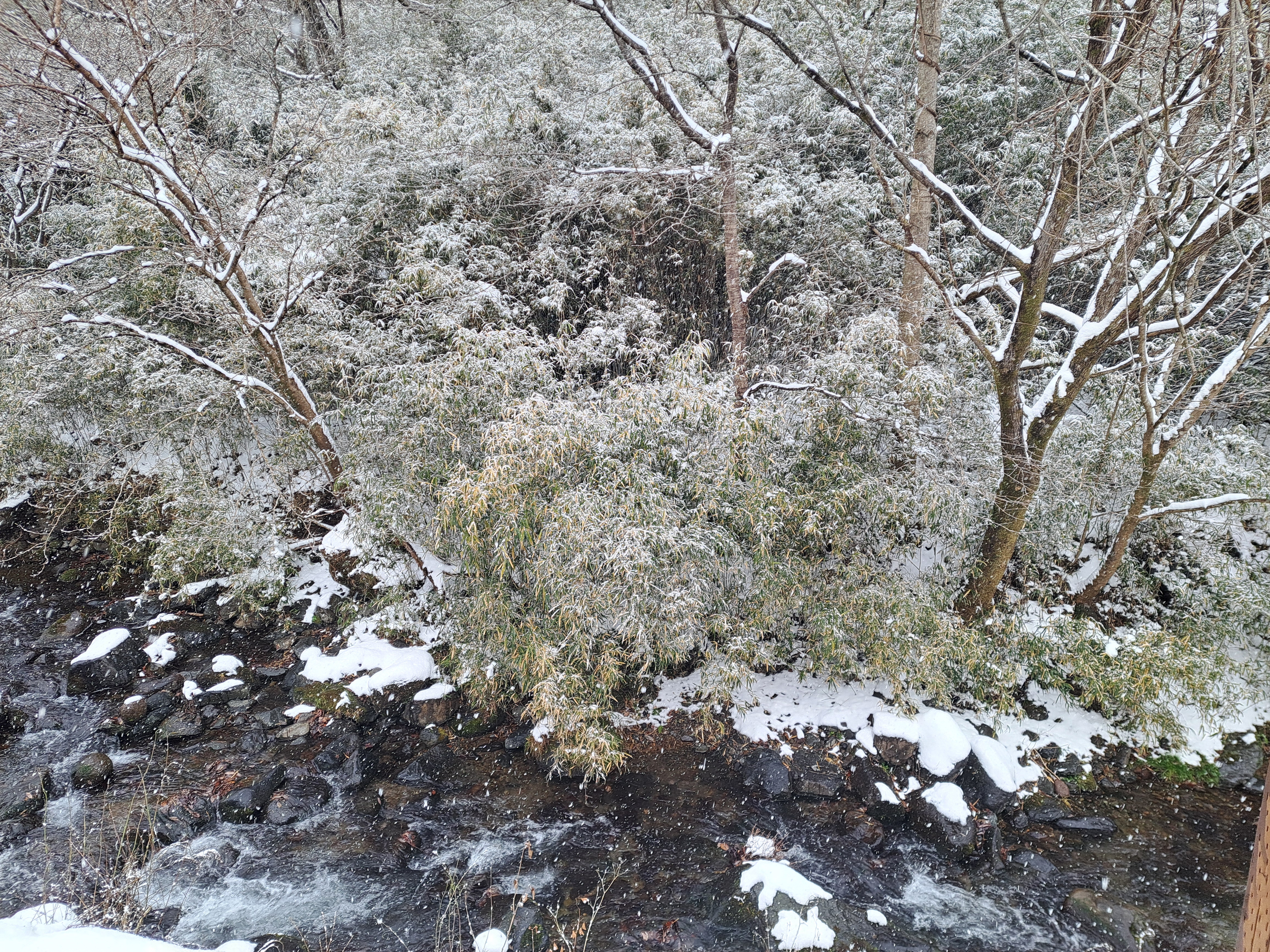 敷地を流れる清流＜冬＞