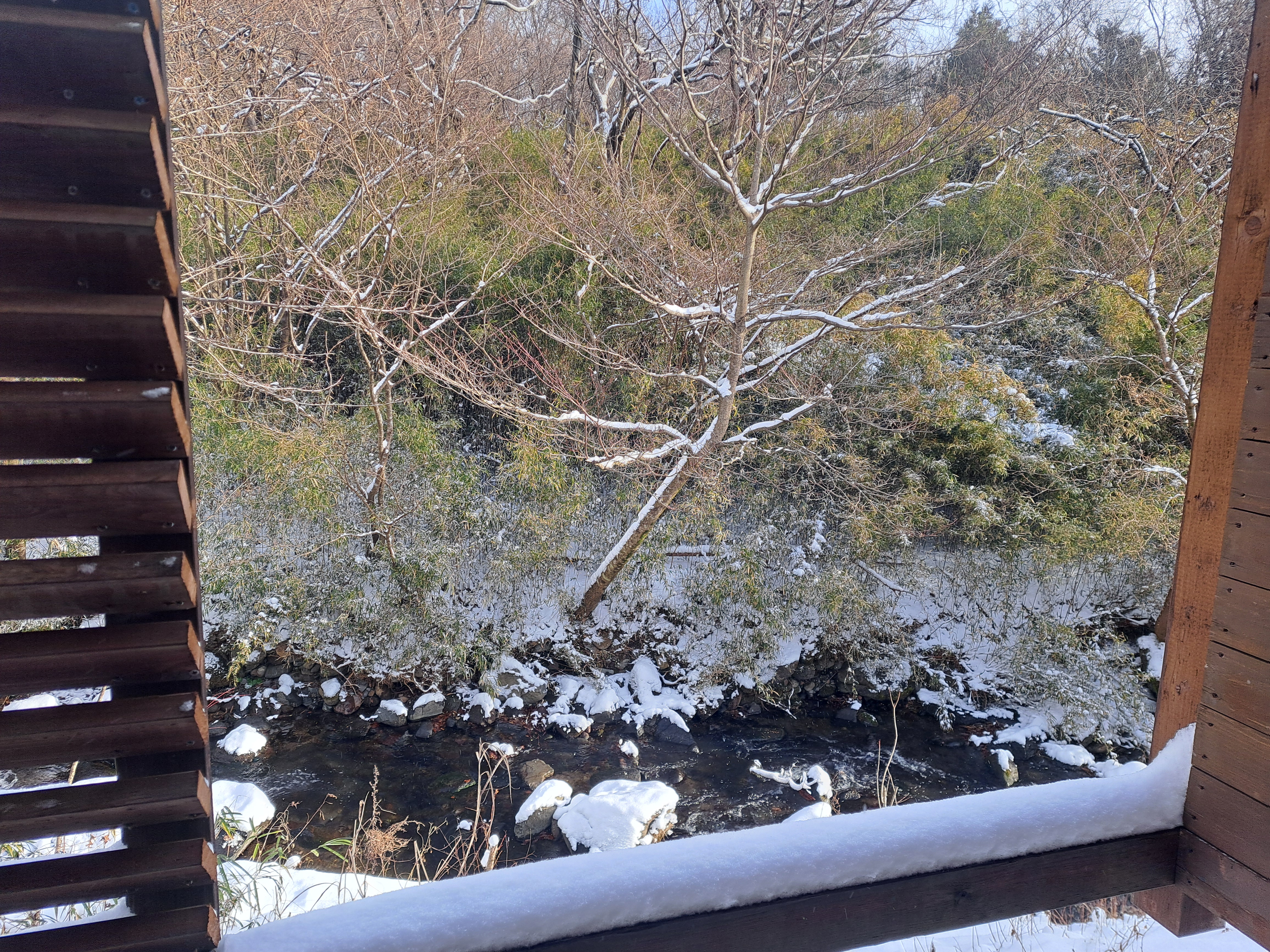 スタンダードルーム（105）の温泉露天風呂からの眺め＜冬＞