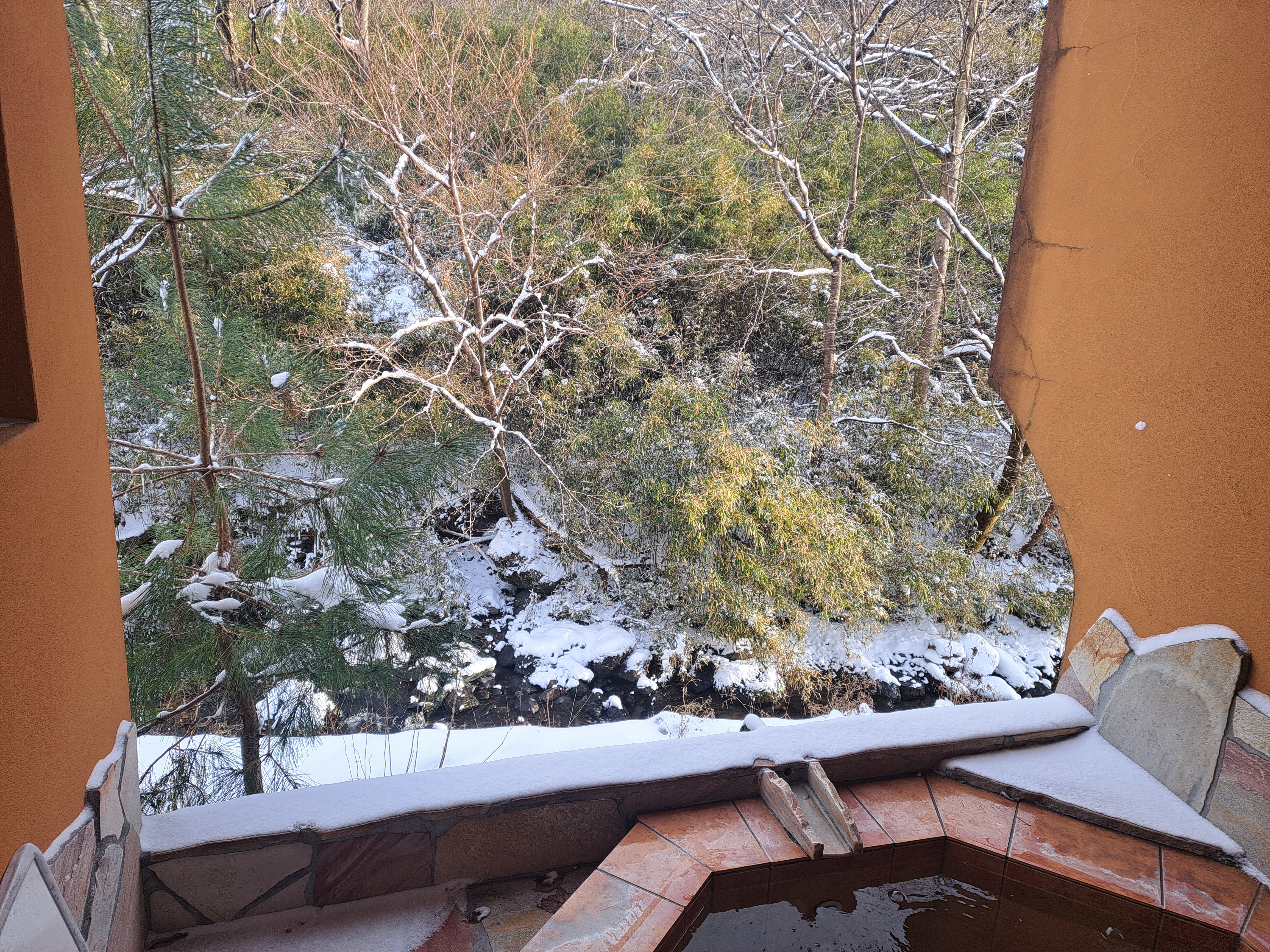 スタンダードルーム（106）の温泉露天風呂からの眺め＜冬＞