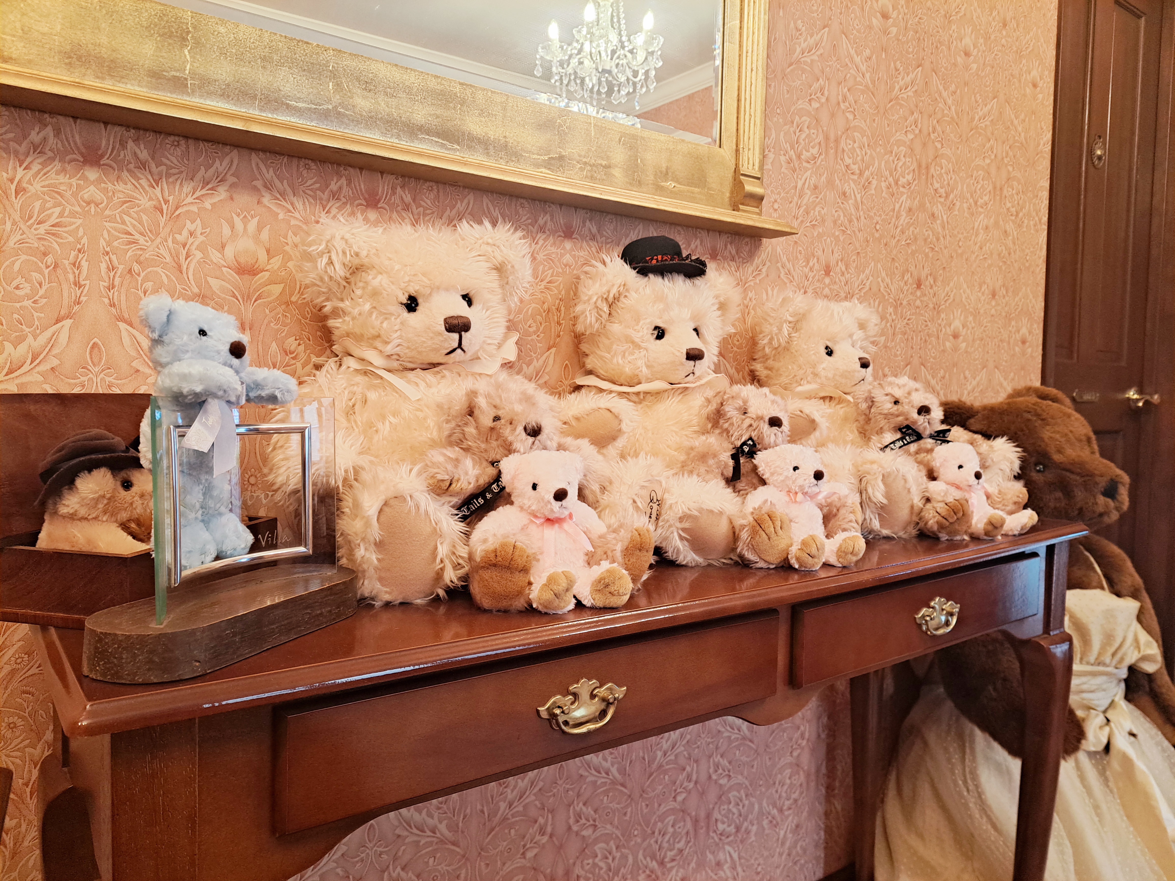 ミュージアムさんに寄贈頂いたテディベア達