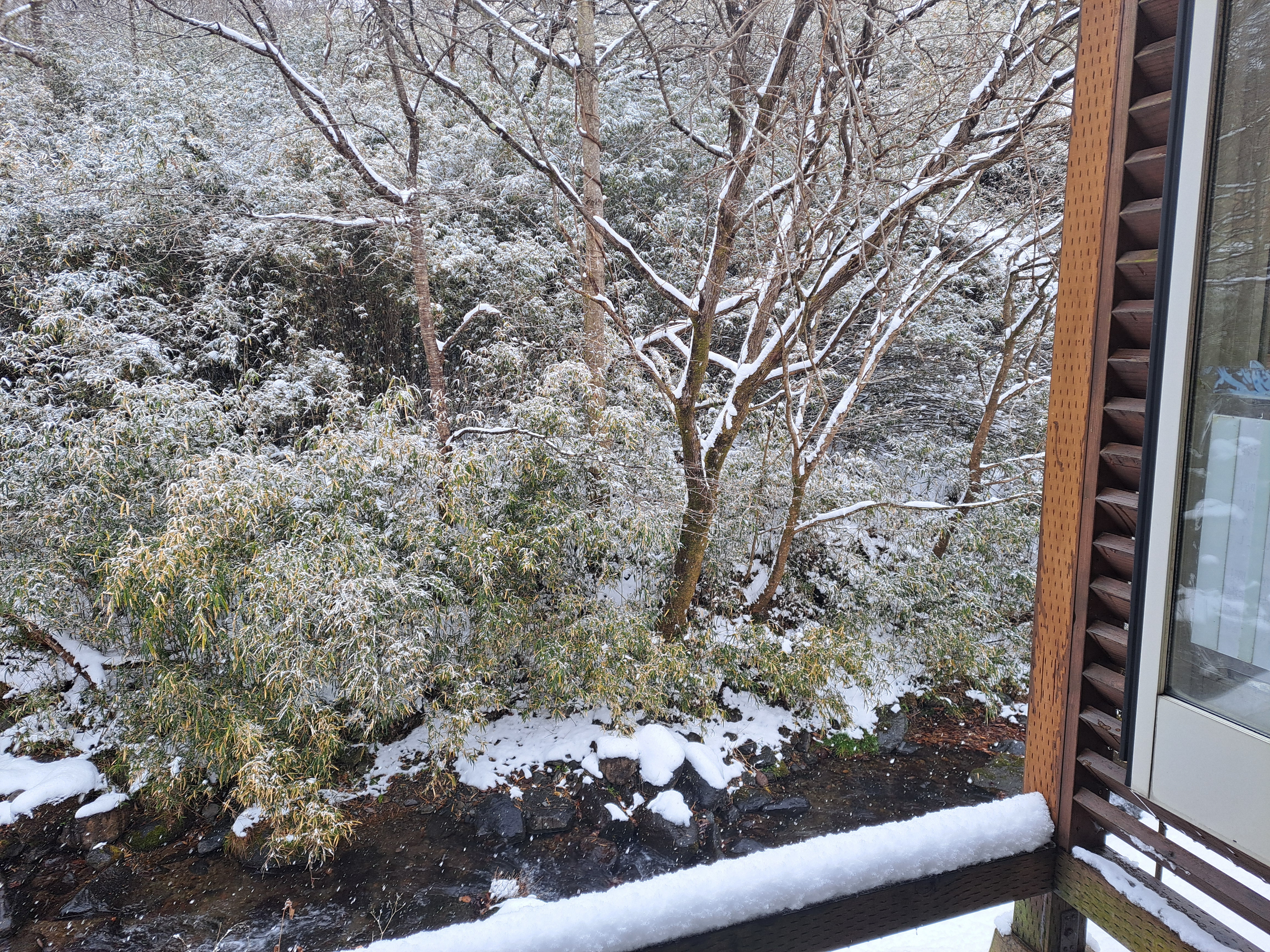 メゾネットルーム（107）の温泉露天風呂からの眺め＜冬＞