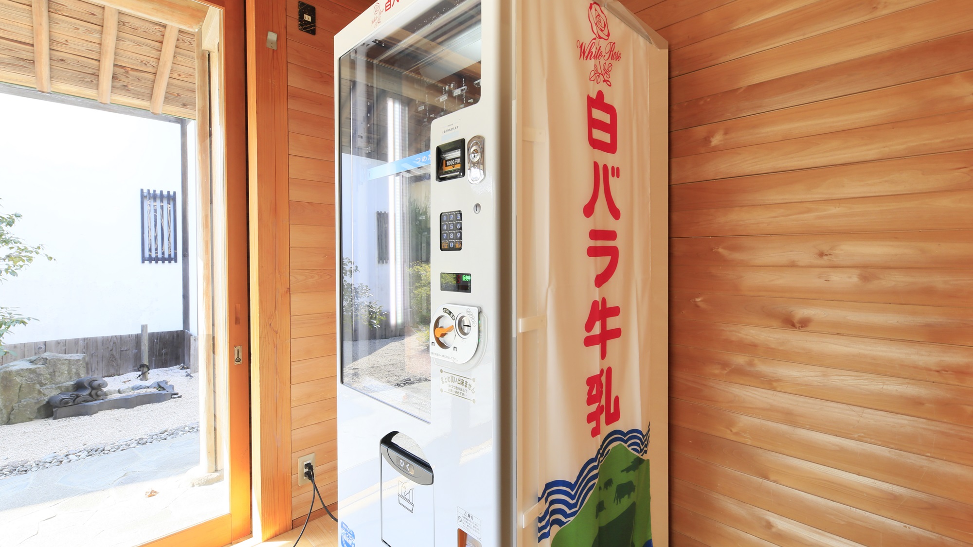 【白バラ牛乳】鳥取県といえばこれ！お風呂上りにいかがでしょうか
