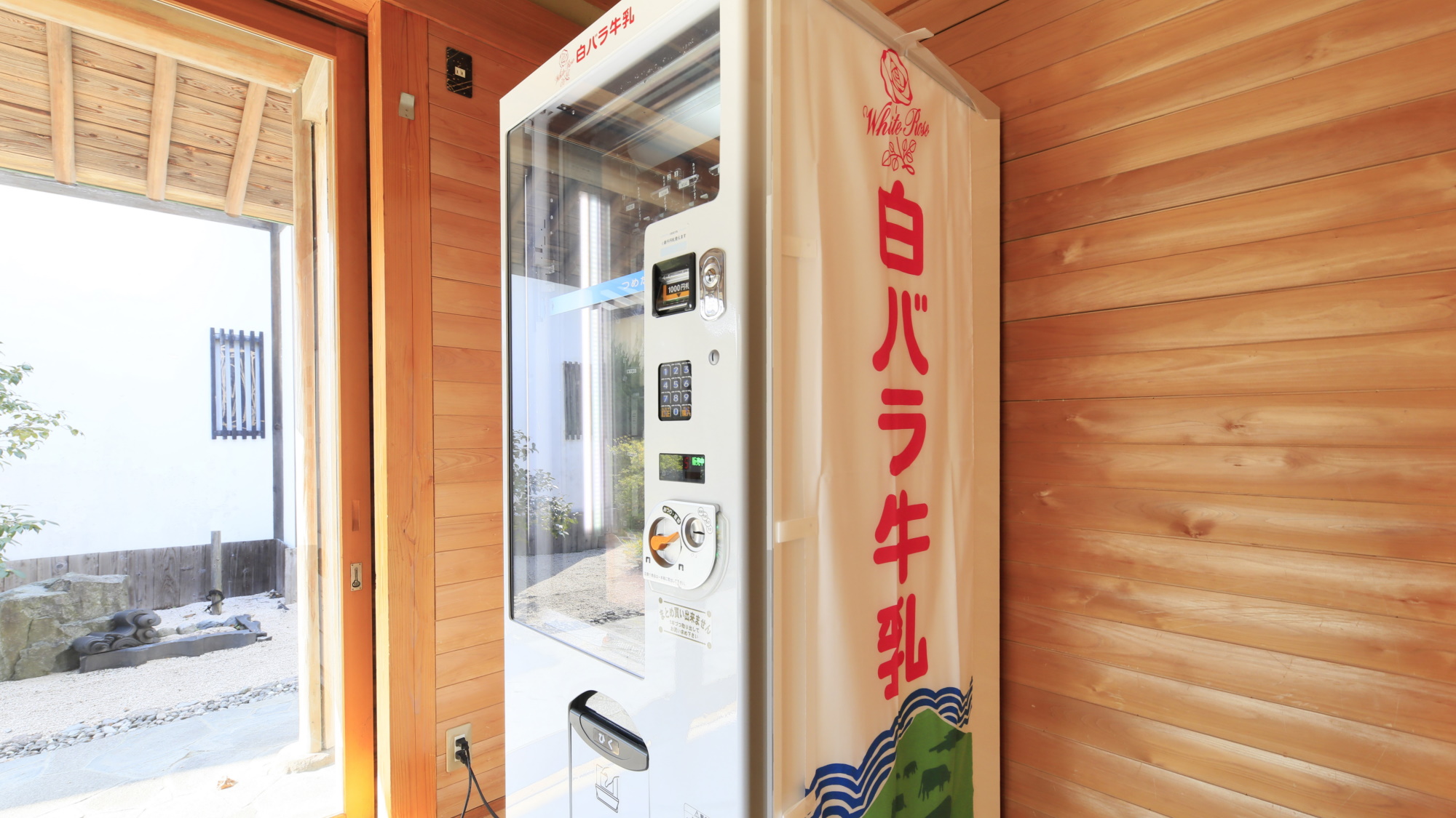 【白バラ牛乳】鳥取県のソウルドリンク、湯上りにおすすめです