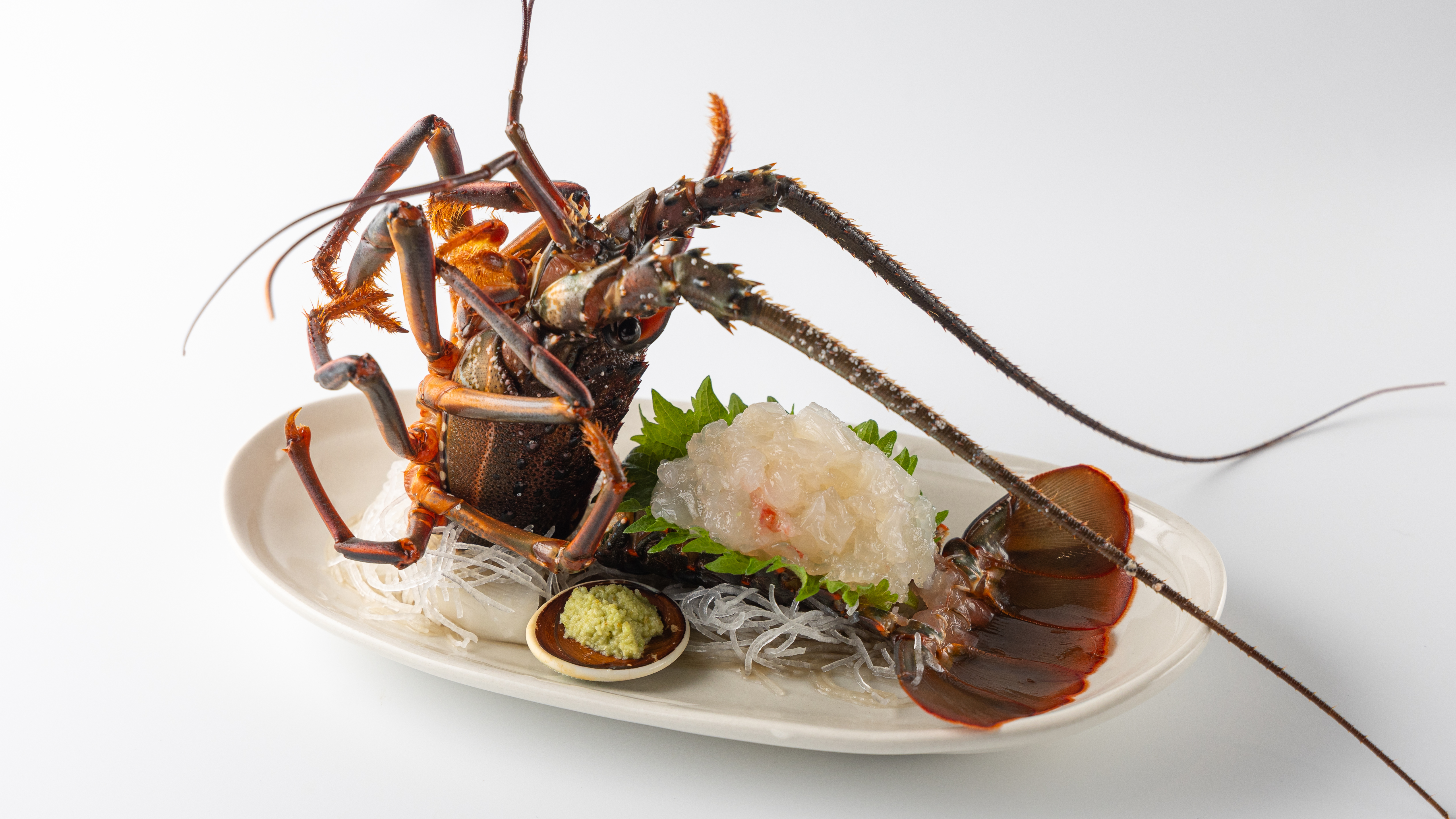 活き伊勢海老の御造り