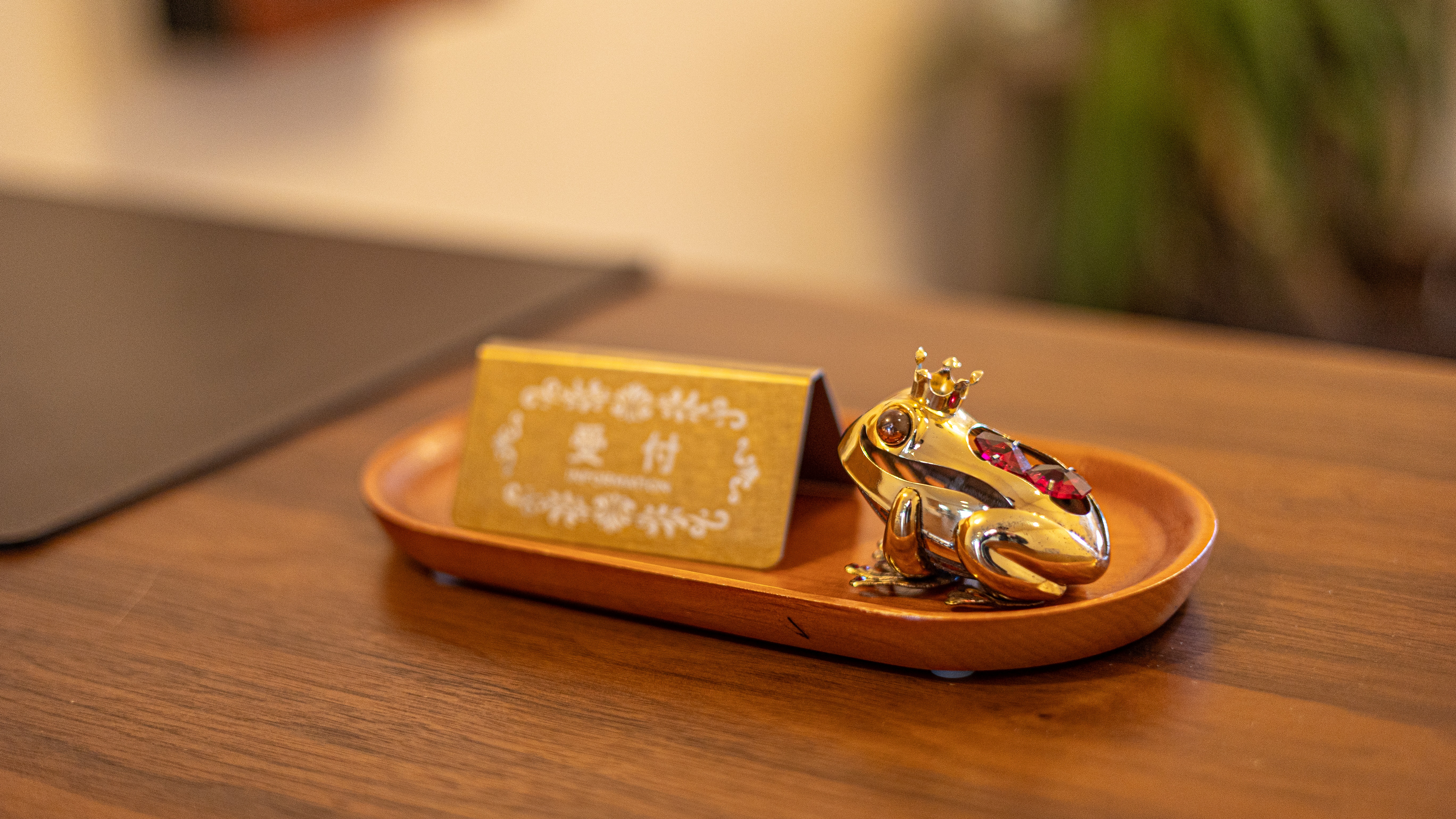 ひだまりカエルがお出迎え