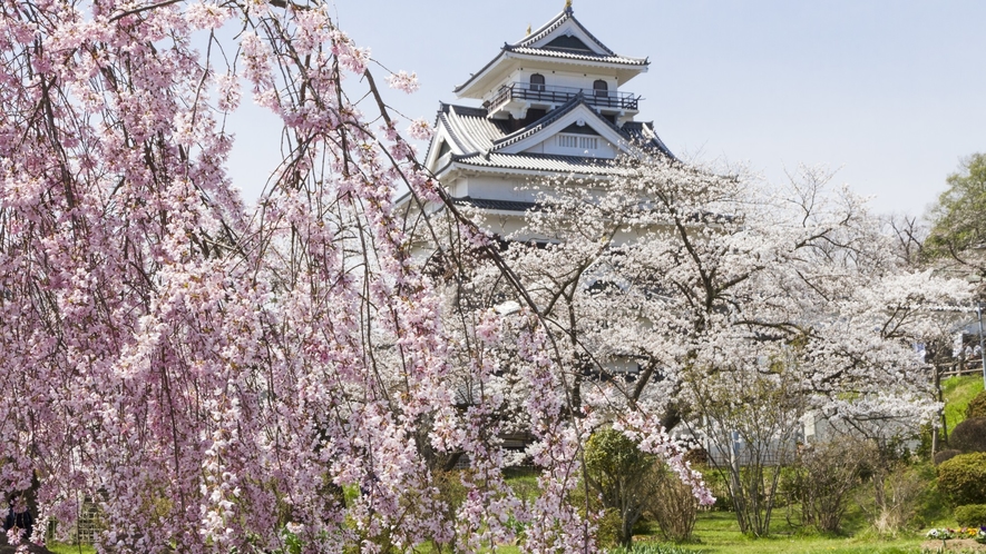周辺には桜の名所がたくさん！春の絶景巡りを楽しもう※写真は上山城