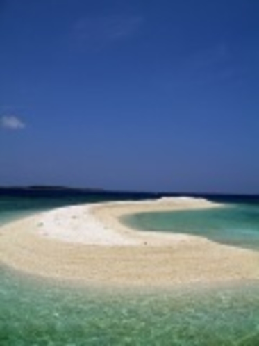サンゴの島　バラス島