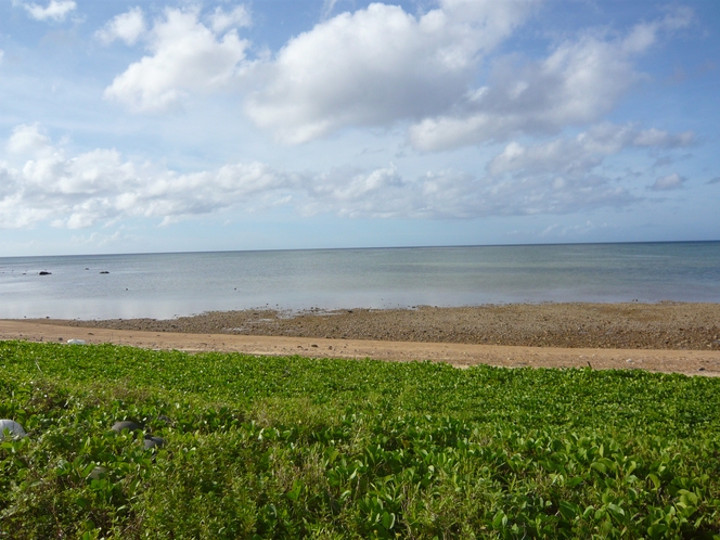 【ビーチ】遠浅の海です。