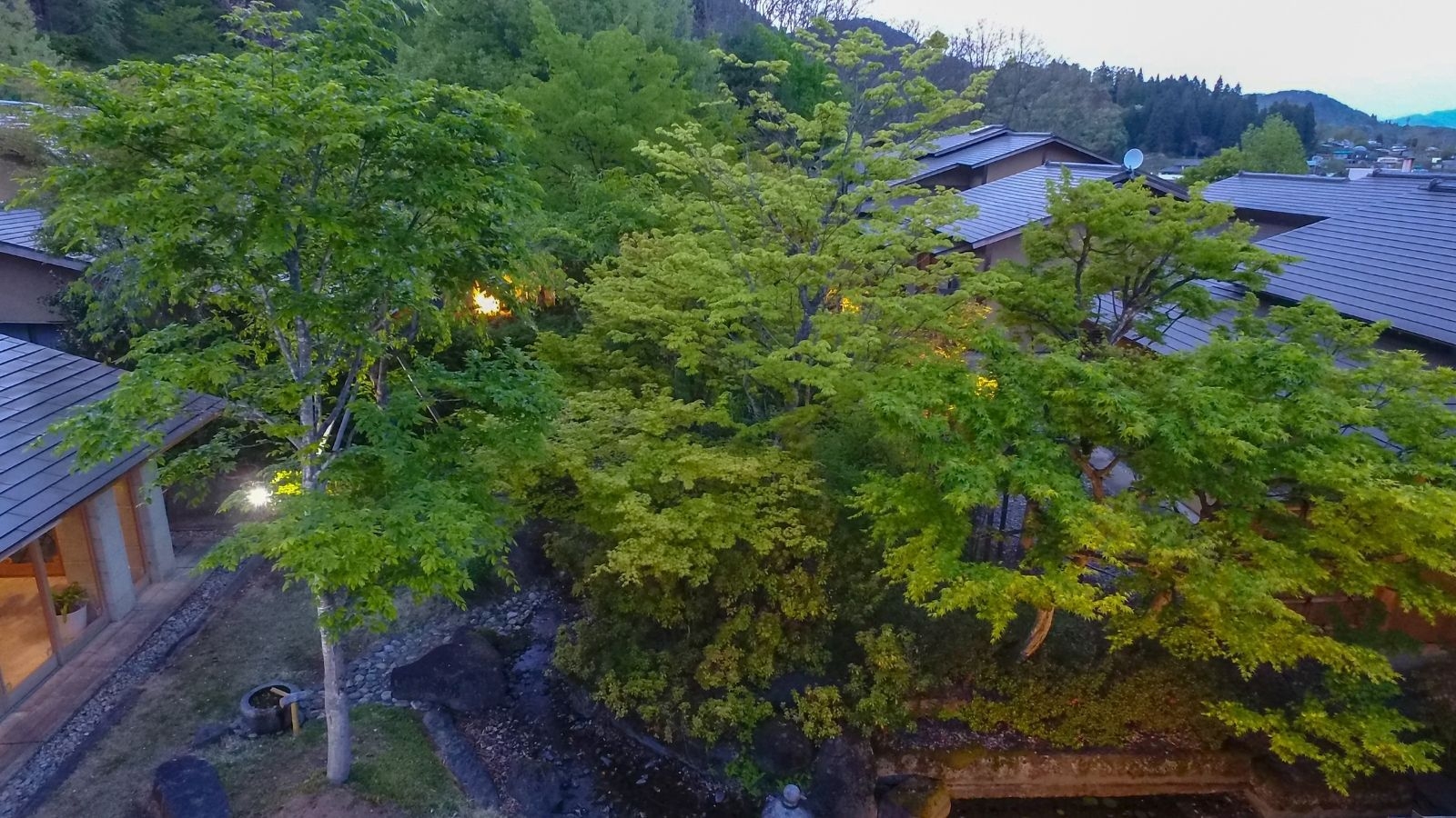 【女性限定｜女子会】　ワンランク上の女子会を！特典付女子会プラン《部屋食》