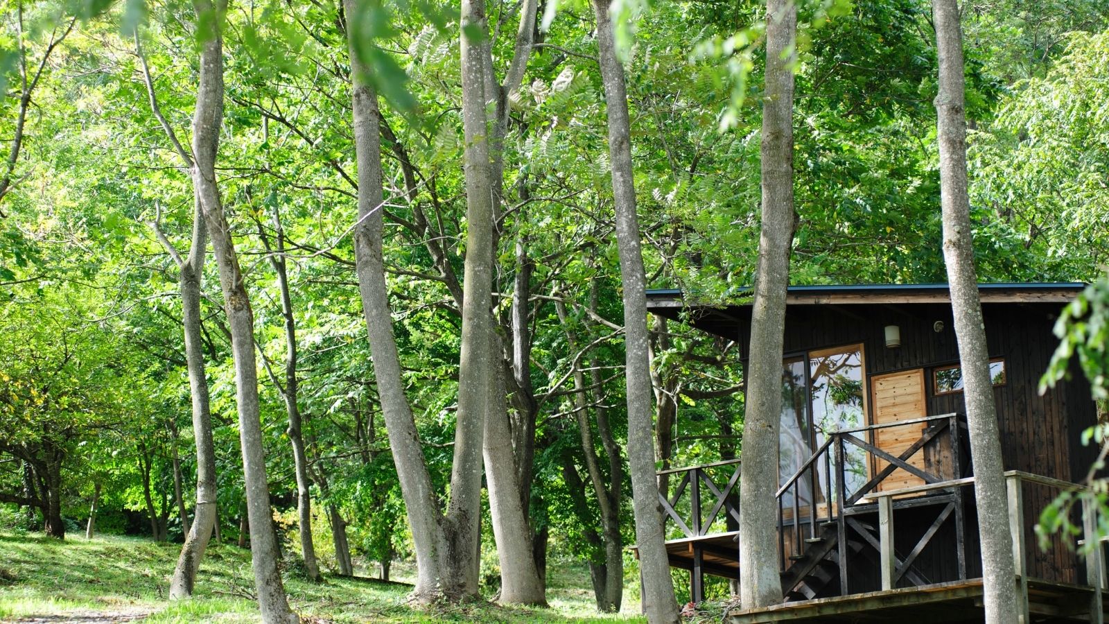 妖精の森のヨガルーム