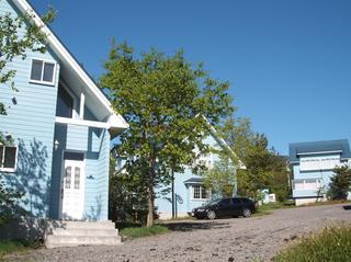 コテージ外観　夏　ベスト