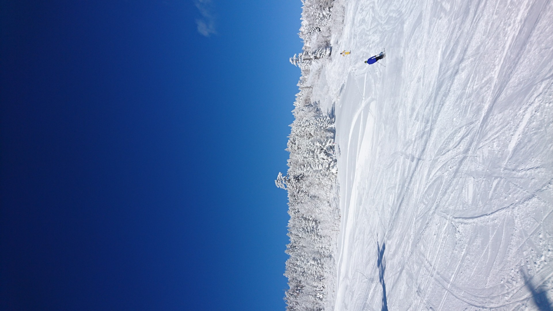 パルコールつま恋スキーリゾート