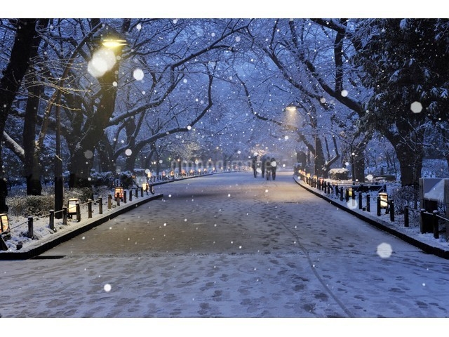 【日曜・月曜日限定】ピンポイントプラン♪