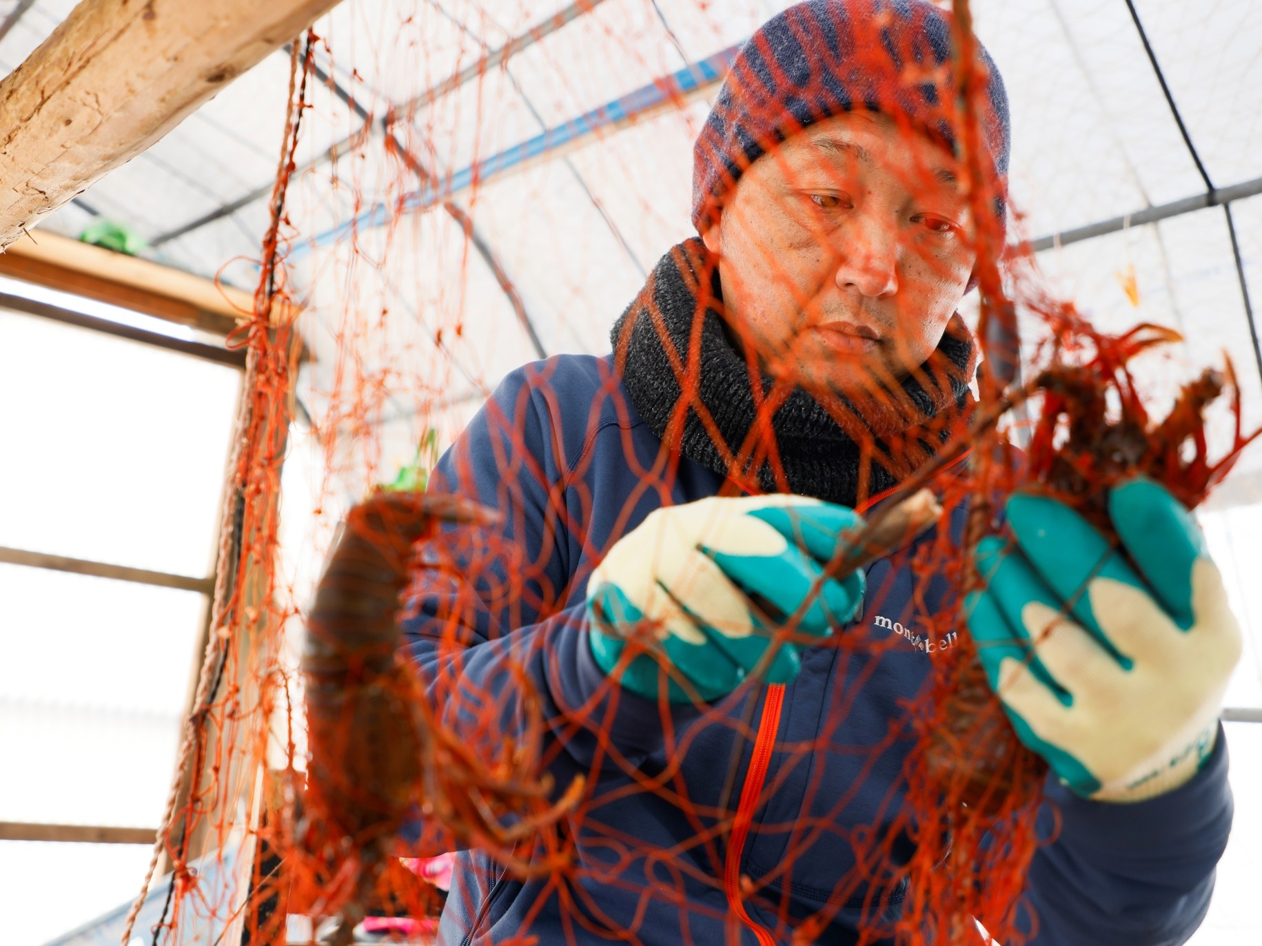 【期間限定】特別客室が断然お得！伊勢海老・あわび・特選和牛！極上の海幸を堪能　うえ久御膳 