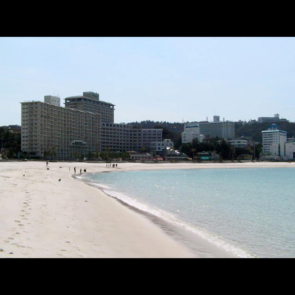 写真7