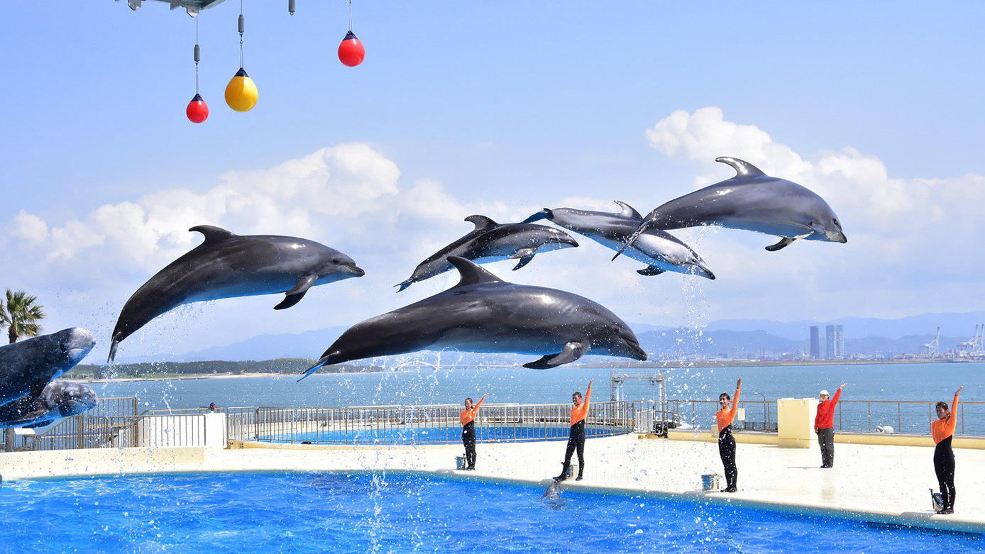 【朝食付】マリンワールド＆海浜公園チケット付きプラン　16時イン／11時アウト