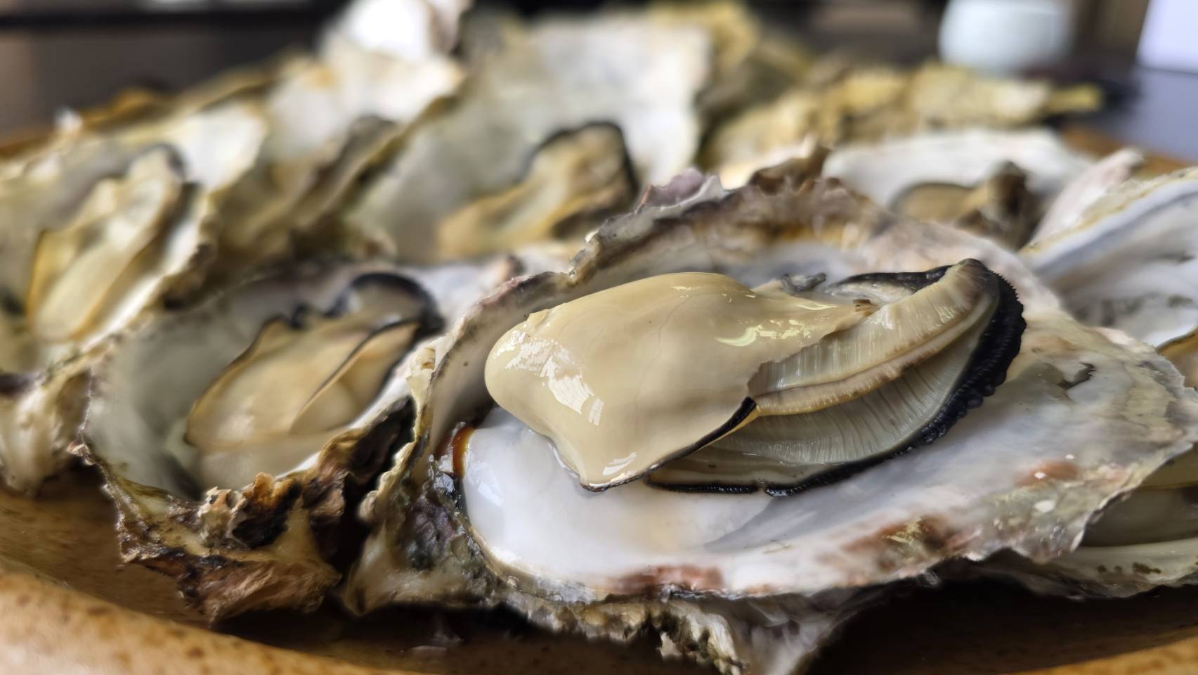 焼き牡蠣　香ばしい磯の香りと濃厚な旨味をお楽しみください。