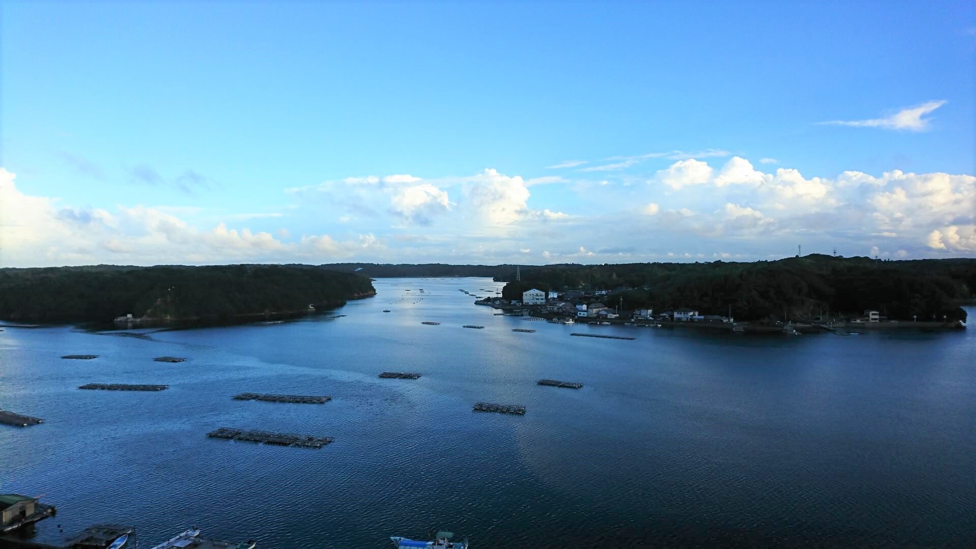 【お部屋からの眺望】窓の外には筏が浮かぶ、穏やかな的矢湾が広がります