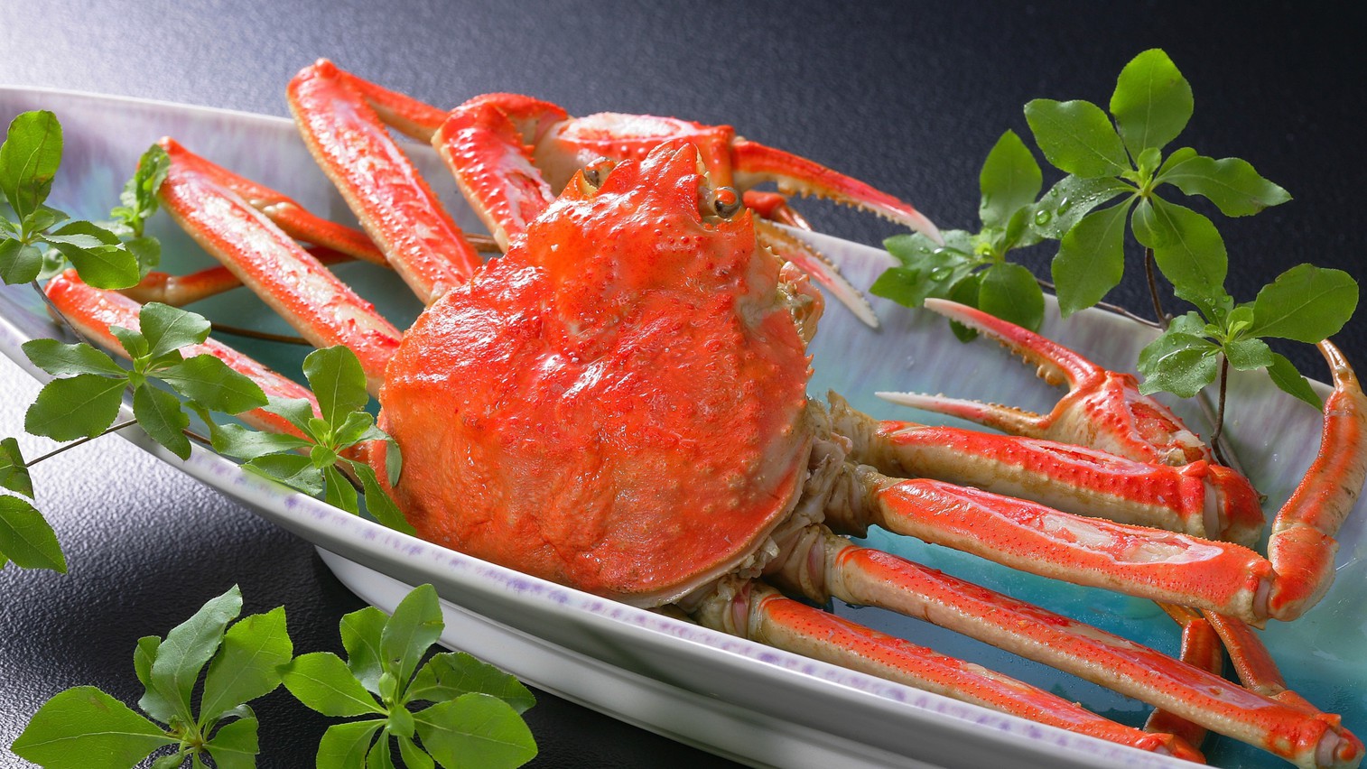 【期間限定大特価プラン】南まぐろ70分食べ放題＆牛タン・海老・カニ料理付き会席を特別料金にてご提供！