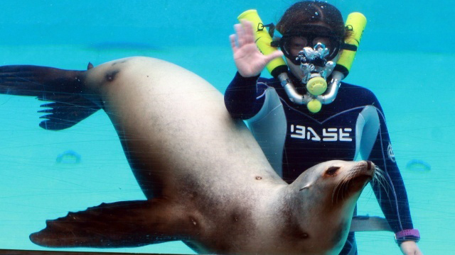 下田海中水族館チケット付きプラン　（2026.5/17〜7/11）