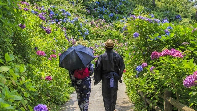 【静岡＆隣県限定】紫陽花と温泉の休日（1日10部屋限定／1500円OFF）