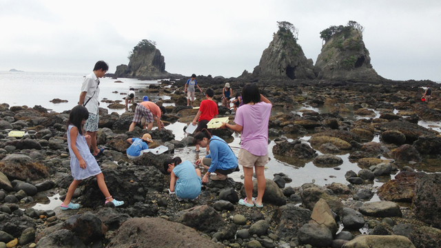 【スタンダード】ファミリービュッフェ　白砂の海水浴場「弓ヶ浜」まで徒歩1分