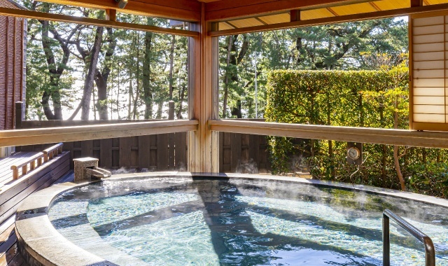 【素泊まりプラン】全室Wi-Fi接続無料・夕朝食の持込みOK（2026.2/15〜）