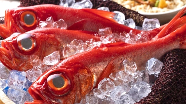 駿河湾の恵みビュッフェ（金目鯛と秋の味覚フェア）2026.9/1〜11/30