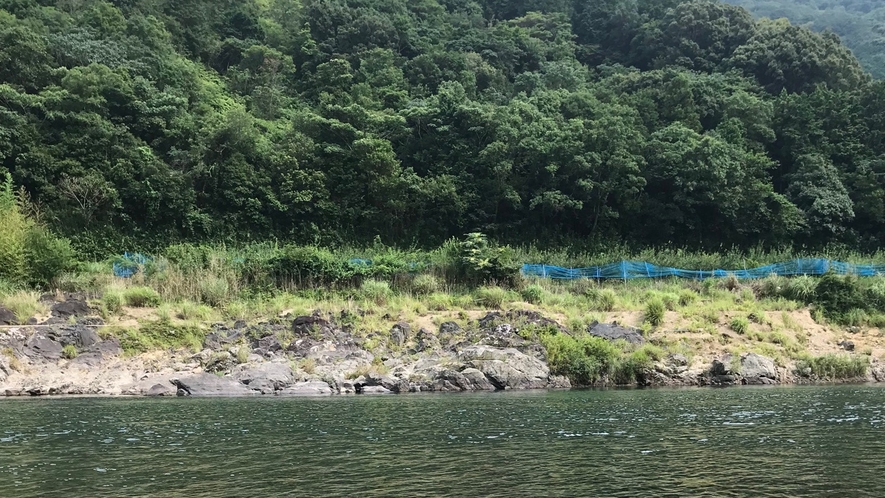 *【日高川】当館目の前の清流で、夏は川遊びが楽しめます♪
