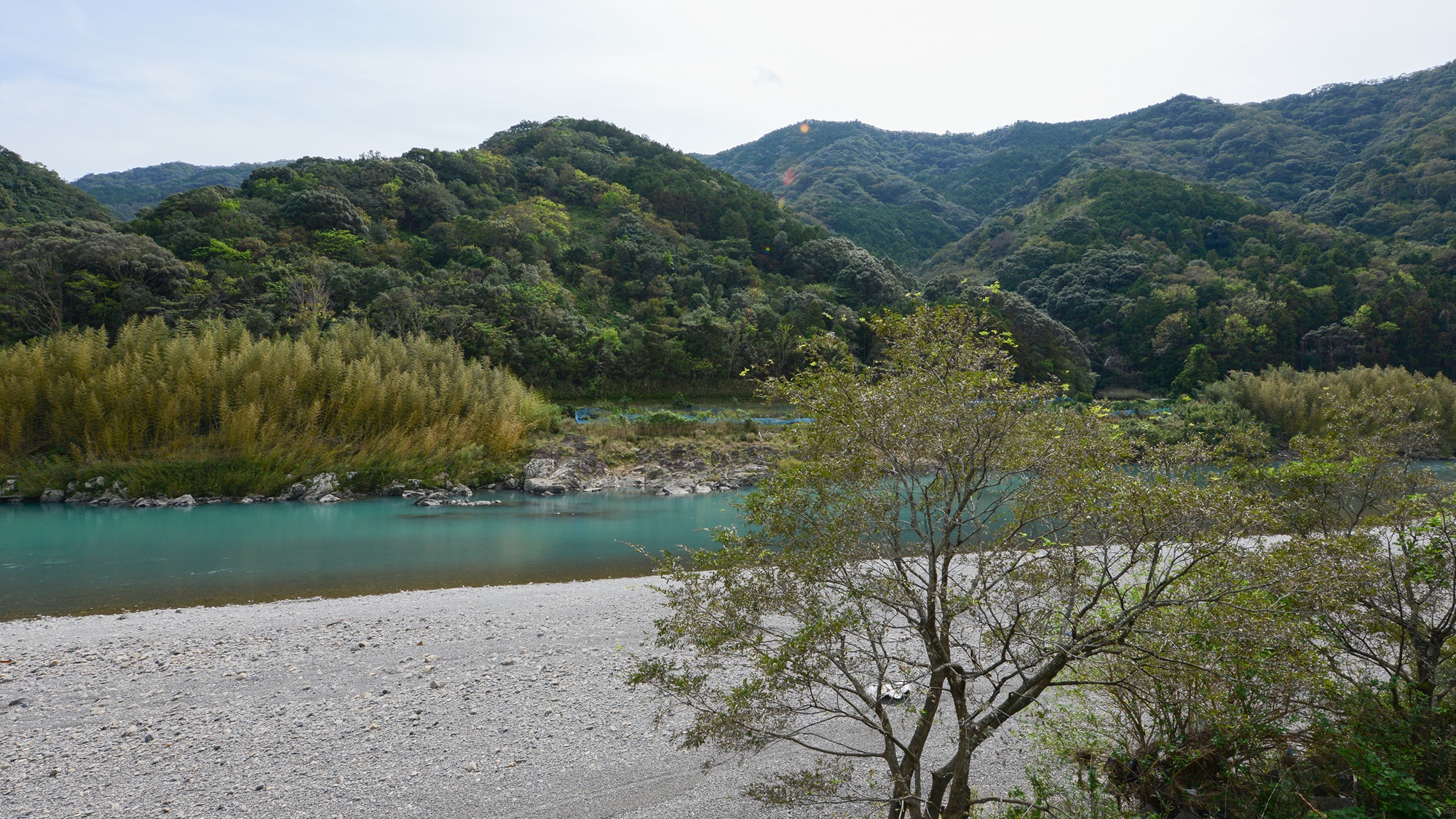 *【日高川】冷たくてきれい！夏は川遊びにおすすめ！