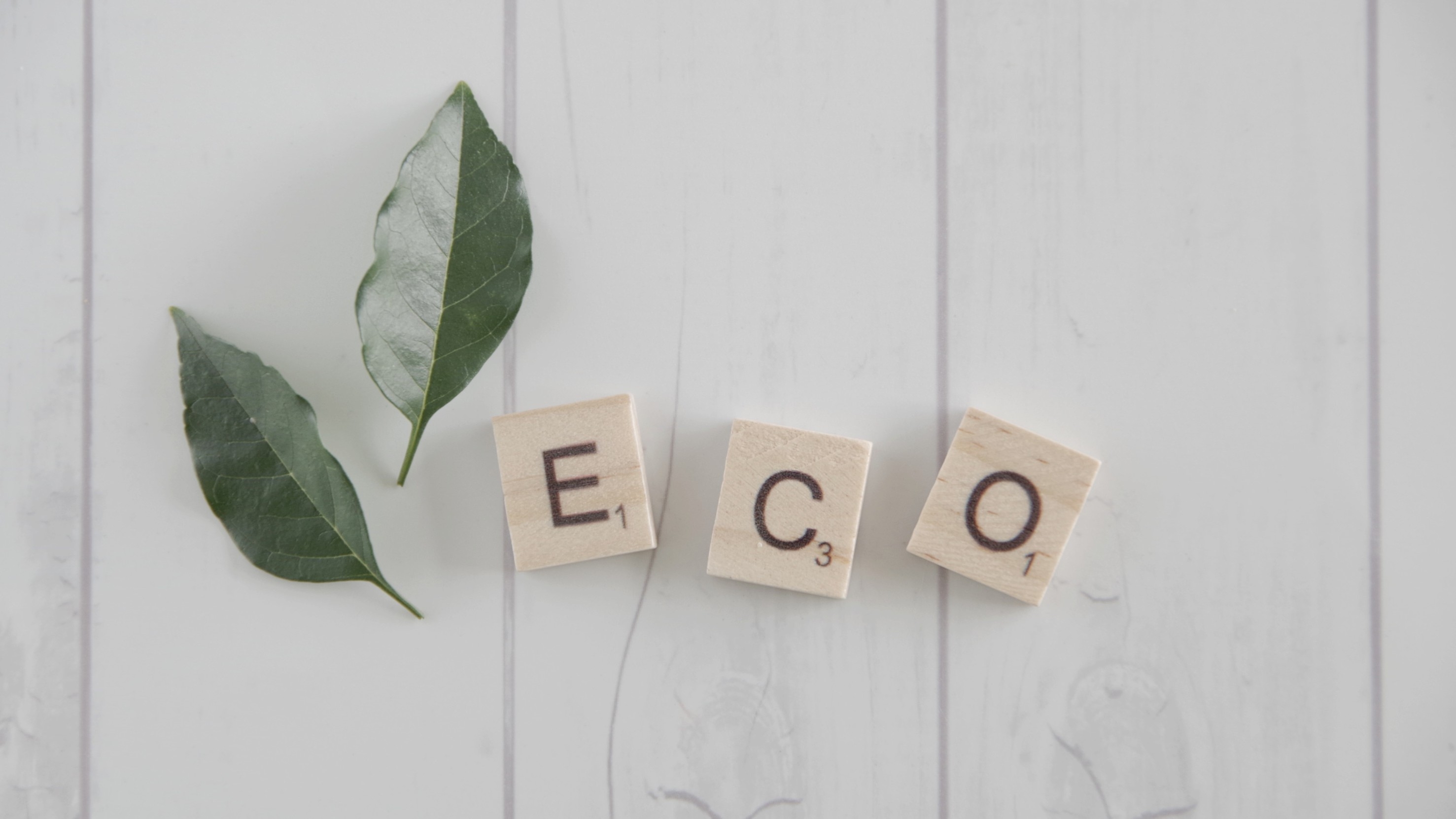 【2泊以上限定】エコプラン（特典付）★