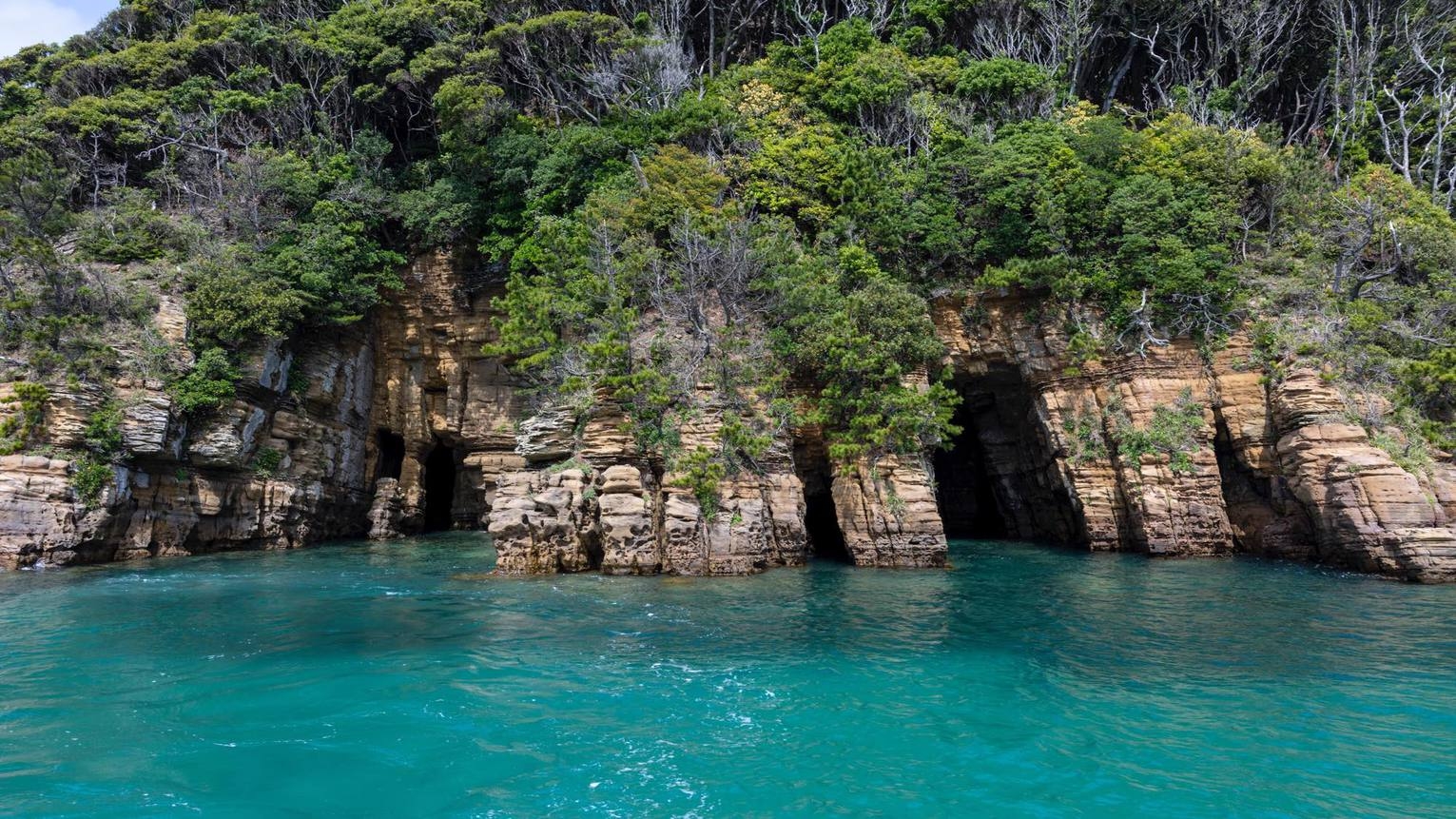 【連泊】2DAYS PREMIUM PACKAGE（朝食付）／1泊分の夕食特典付き