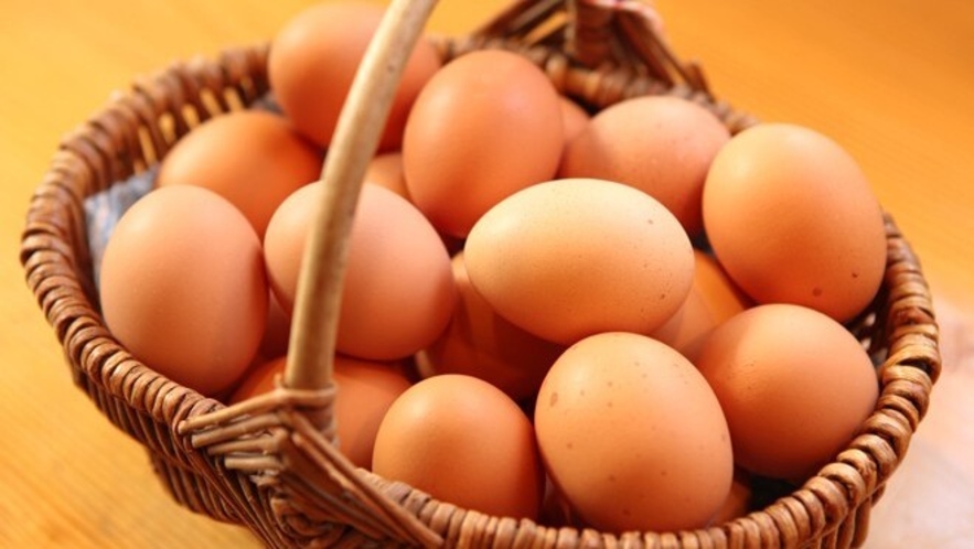 【朝食】国内では数％しかいない純国産鶏「もみじ」の「美豊卵」
