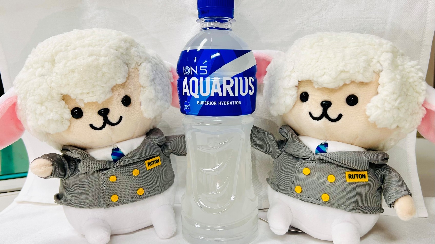 【8月まで限定】★夏に負けるな！猛暑対策・アクエリアス付きプラン！★一泊素泊り
