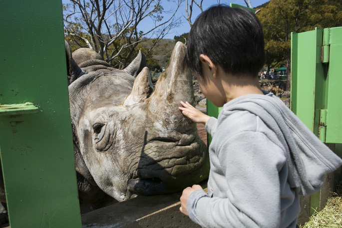 【ポイント5倍】伊豆アニマルキングダム入園券付きプラン★Cafe＆Book Hotel