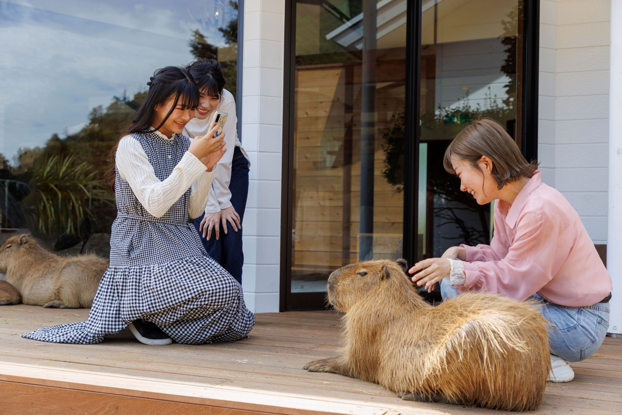 【祝！リニューアルオープン】カピバラと一緒に泊まれるプラン！＜1泊夕食付＞★アニマルヴィラ