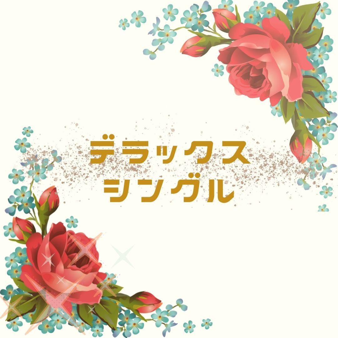 【10時アウト】広々15平米デラックスシングルルーム≪素泊り≫