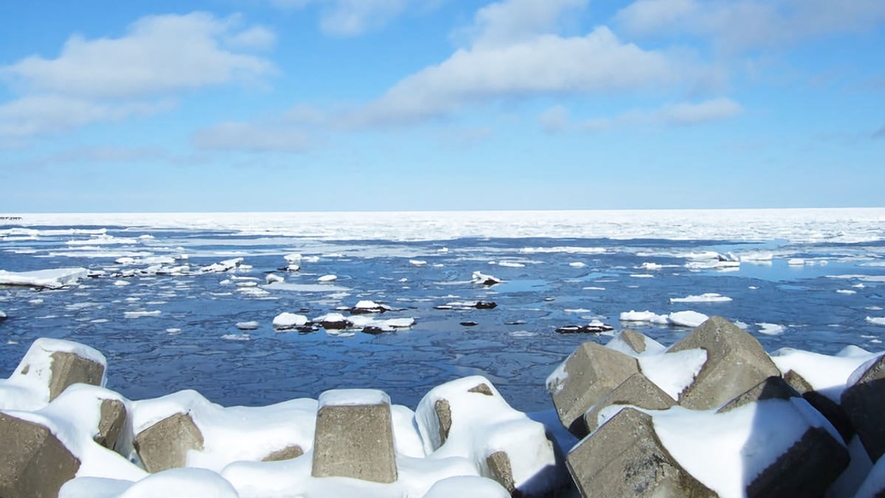 【流氷】流氷で白く染まるオホーツク海と青空を是非一度ご覧ください。